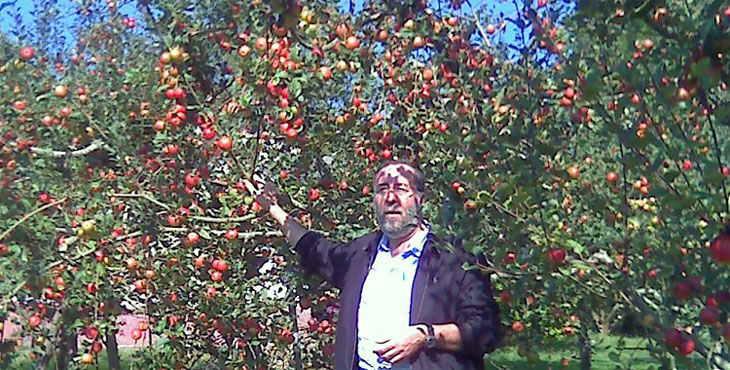 Image:Que manzanas más ricas ¡¡¡ (en botella, of course)