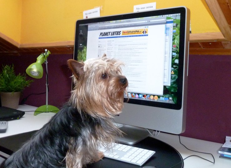 Image:My dog loves Lotus Notes and Planet Lotus
